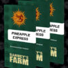 Barneys Farm - Pineapple Express 3 stk.