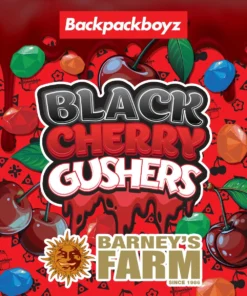 Barneys Farm - Black Cherry Gushers 5 stk.
