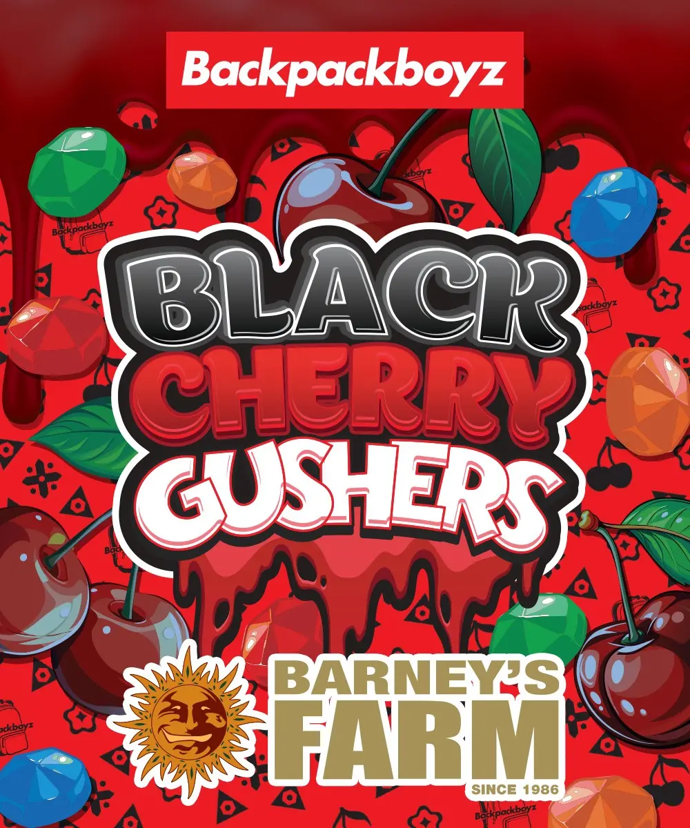 Barneys Farm - Black Cherry Gushers 5 stk.