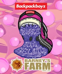 Barneys Farm - Bubblegum Gelato 5 stk.