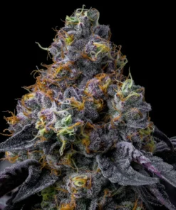 Barneys Farm - Rainbow Sherbet 5 stk.