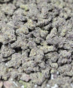 Asgaard Genetics - Idunn's Apples (7 Feminiseret frø)