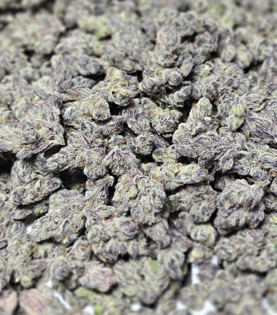 Asgaard Genetics - Idunn's Apples (7 Feminiseret frø)