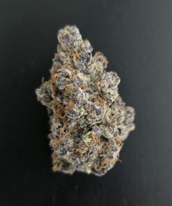 Asgaard Genetics - Yggdrasil (7 Feminiseret frø)