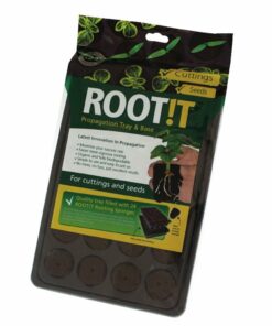 Root!t 24