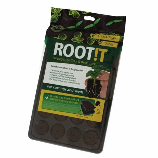 Root!t 24