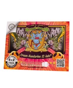 Sweet Seeds - Cream Mandarine XL Auto Cannabis frø